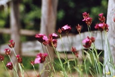Zur Ruhe kommen auf dem Thalerseehof