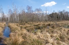 Fußbergmoos © Christian Köbele