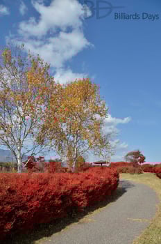 中央道のどこかのSAで