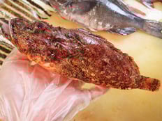 オニカサゴ　五島列島の魚　未利用魚