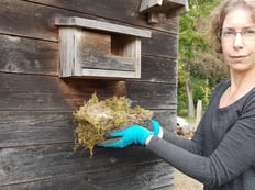 Foto: (C. De Marco) Martina Weber