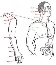 Exemple de meridià d'intestí prim