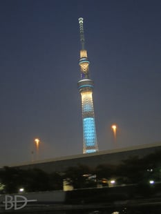 ヒント：この近くに住んでいるプロです