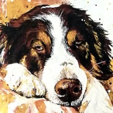 gemaltes Hundeporträt Berner liegend Acrylbild