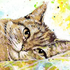 Katzenporträt gemalt mit Acrylfarben nach Foto