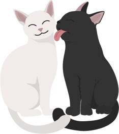 ネコ　餌　散歩　　トイレ