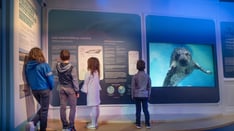 maisondeloiseau-6359