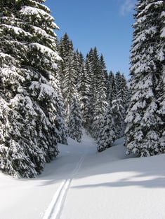 Jura, La Pesse, textile, location, location de ski, ski, ski nordique, skating, ski à farter, ski classique, ski à peluche, ski de fond, snowboard, farts, fartage, ski roue, magasin de sport, réparation, entretien, service, conseil, technicien du nordique