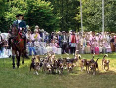Ferienwohnung Franken in Vestenbergsgreuth, im Steigerwald Mittelfranken 