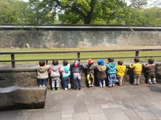 きれいに並んでますね（笑）