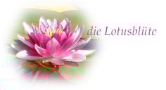 Heilpraxis die Lotusbluete, Raum für Energie- und Körperbewusstsein