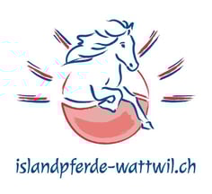 Pferdepension und Reitunterricht, Islandpferde Wattwil