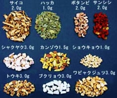 加味逍遥散 漢方煎じ薬 