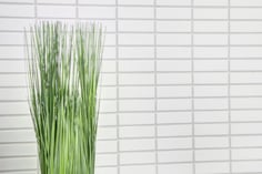 mosaico in ceramica vetro colore bianco forma rettangolo opaco