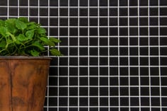 mosaico 23 mm in ceramica colore nero opaco 