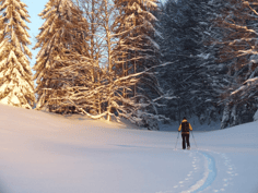 Jura, La Pesse, textile, location, location de ski, ski, ski nordique, skating, ski à farter, ski classique, ski à peluche, ski de fond, snowboard, farts, fartage, ski roue, magasin de sport, réparation, entretien, service, conseil, technicien du nordique