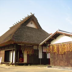 ひょうごロケーションラボ　ロケ地紹介