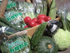 全国的に人気の有機・無農薬野菜セット