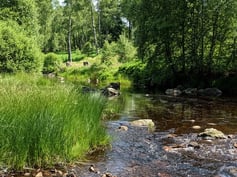 Entdeckungstour Eifel