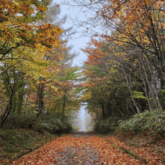 ひょうごロケーションラボ　ロケ地紹介