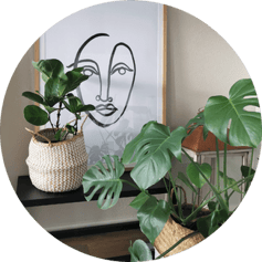 Karibu Living, Bild zu Tipps&News