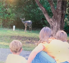 Visitors at the Reserve