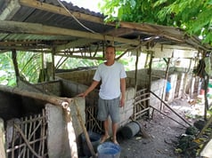 マリオさんのぶた2022夏