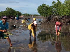 ASFAメンバーみんなで植樹2024年5月