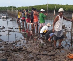 保護フェンス2024年4月