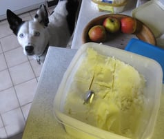 Frischer Rindertalg zur Portionierung