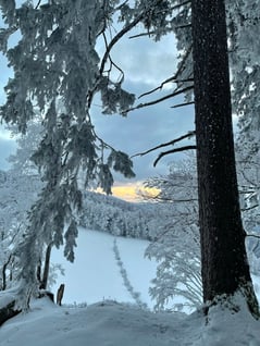 2021/01: Blick aus Schattholz auf Ulmethöchi (CH/BL)