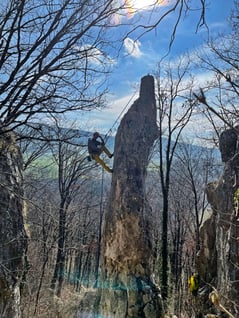 2021/03: Klettern & Akrobatik am Pudelfels