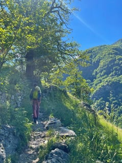 Auf dem Wanderpfad zum Felsfuss.