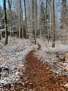 2021/01: Winterlicher Waldweg der Bürenflue (CH/SO)