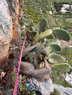 Achtung Kaktus! Für mich eine ungewöhnliche Passage. Zum Glück sind keine Stacheln dran!