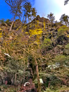 2022/02: Selbst im Winter können Farben froh, warm und intensiv wirken (D/WT)