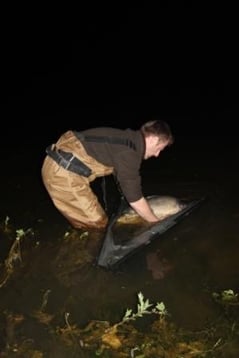 acrocarpe.com étang de pêche à la carpe