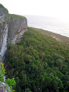 バードサンクチャリーの断崖