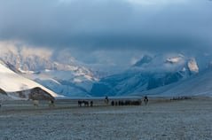 Nomaden Ladakh Kharnak
