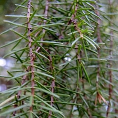 日当たりが強くても