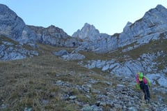 Über die Alpweide hoch zum Westgrat.