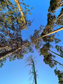 2022/04: Chillen und Klettern an der Tannenfluh