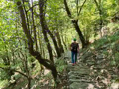 Die typischen Wege und Wälder im Tessin.