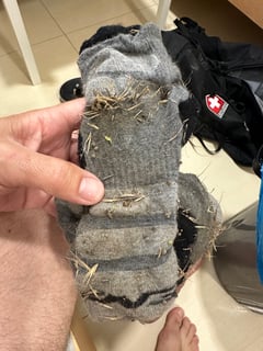 Meine täglichen Leiden...