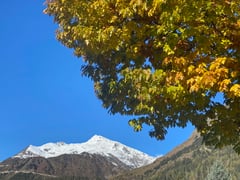 Wunderbares Herbstwetter empfing uns!