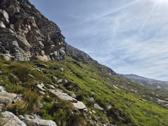 Das Felsbandes von Stellinen.