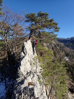 Tolles Übungsgelände!