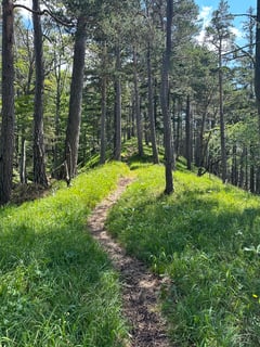 Traumhafter Wanderweg auf dem Bergkamm.
