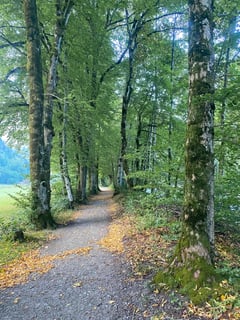 Entlang der Ostrach.