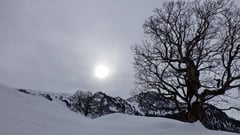 Die Sonne zeigt sich nur verschleiert.